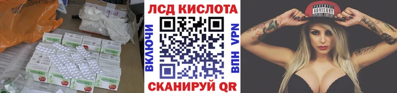 ЛСД экстази ecstasy  Купить где  Бердск 