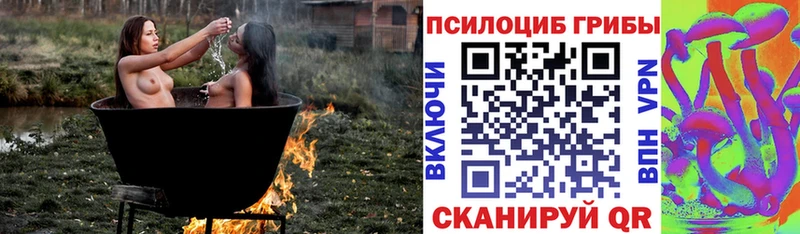 Галлюциногенные грибы Magic Shrooms  Купить закладки  Бердск 